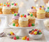 EMPORIUM CANDY TASTY TREATS FOR THE TUMMY 2 lb Spice Drops Gumdrops Candy Old Fashioned Assorted Spice Jellies, Chewy