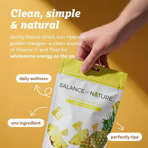 (1 Pack) Balance of Nature Freeze-Dried Pineappples