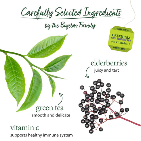 18 Count (Pack 6), 108 Bigelow Tea Green Tea with Elderberry Plus Vitamin C, Caffeinated Tea with Elderberry, Box