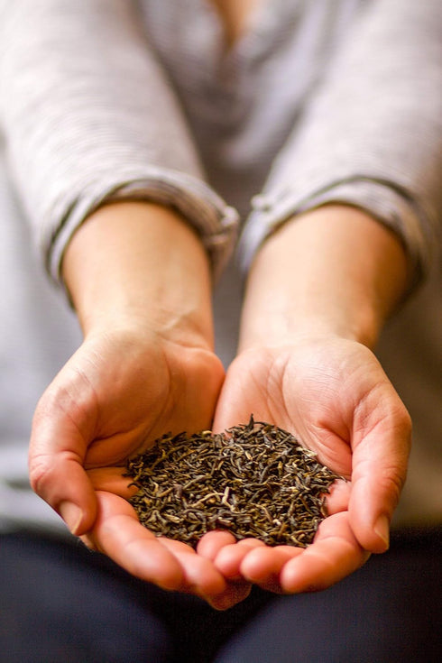 (96 Golden Moon Organic Jasmine Servings) Loose Leaf Tea