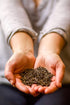 (96 Golden Moon Organic Jasmine Servings) Loose Leaf Tea