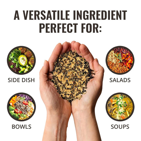 1 Pack 14 x ounces Prairie Blend, Brown Rice, Wild Rice, Hulled Millet, and Sprouted French Lentils and Quinoa, Non