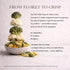 AKUNKA 2.5 oz Crunchy Florets - Vegetable Snack, Broccoli and Cauliflower, High Fiber, (Spicy)