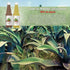 33.3 oz (1 100% (33.3 Oz, Yerbero - Jalisco Maguey Juice Extract Fl Liter) | All Natural, Juice | Jugo de Maguey de