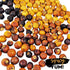 Spicy Yum! Country Bulbs 10 oz Premium Onion (Bush Onion, Bobimbi, Rondelle) Peeled, Washed & Dehydrated Aromatic Onion