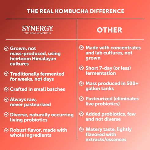 16 oz Immune SYNERGY The Real Kombucha - Strawberry Serenity - fl Bottle - Raw Probiotic Drink for Gut Health