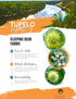 16oz. Tupelo Honey Bottle- Premium from Sleeping Bear Farms Beekeepers in the Florida Apalachicola River Basin