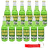 Generic Grass Soda | 12 Pack of Unique Grass Flavored Soda Pop with