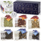 Mighty Leaf Tea and Company Organic Tea Sampler 30 Count Silken Tea