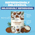 Packets 4 5 Packets (8-Count) HTeaO Coconut Black Tea Makes Gallons of Naturally Sweet Tea in Minutes Large Tea Sachets