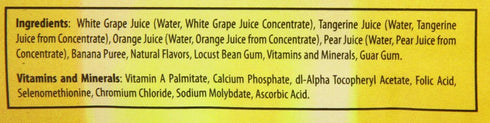 100% 46-Ounce (Pack 2) Dr. Smoothie Crushed Fruit Concentrate, Orange Tangerine, Bottles