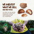 7oz Snack Aa Trail Mix The True Organic Brazil Nuts Roasted + Aa Fruit Nibs + Cupuau Fruit Nibs Nutrient-Rich