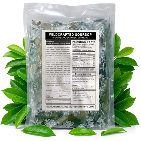 Purelife Herbs 1000 Soursop Leaves Tea, Whole Dried Leaves, Wildcrafted Graviola (Guanabana, Guyabano), Loose Leaf