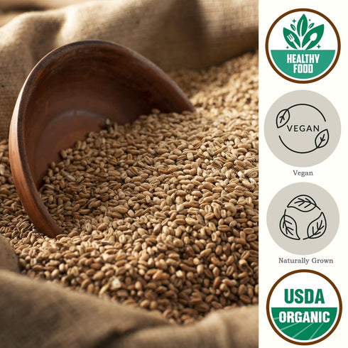 (5.8 lb) Be Still Farms Organic Hard White Wheat Berries - Healthy Diet Whole Grains Bulk - Ideal for Soups Flour Bread