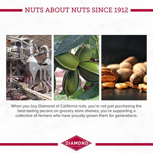 3.25 oz. Diamond of California Pecan Pie Pecan Nuts