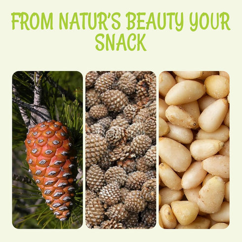 8oz Packed Oh! Nuts Pine Nuts (Pignolias) - Bag of Bulk Fresh Raw Pine Nuts for Baking, Snacking, Salads & Pesto