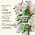 12-Count 60mL 2 Oz, Pack 12 Greenhouse Juice Green Ritual Wellness Shot Brain-Boosting Glass Bottles with Cucumber