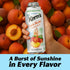 15.5oz, 12 Pack Kerns Peach Nectar Lata Botella - Made with Fresh Fruit Puree & Peach Juice Concentrate for Fruit
