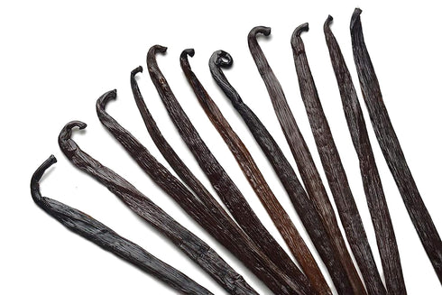 12 Large Vanilla Beans Grade A for Making Vanilla Extract - NON-GMO Planifolia Type Bulk, 6-8 Inches