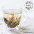 Set, 5 16 Numi Organic Tea Dancing Leaves Flowering Tea Gift Tea Blossoms with Ounce Glass Teapot
