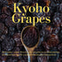 (8.8oz) Premium Japanese Dried Giant Grapes (Kyoho) - Authentic Soft Texture & Intense Flavor - Exquisite Jumbo Raisins