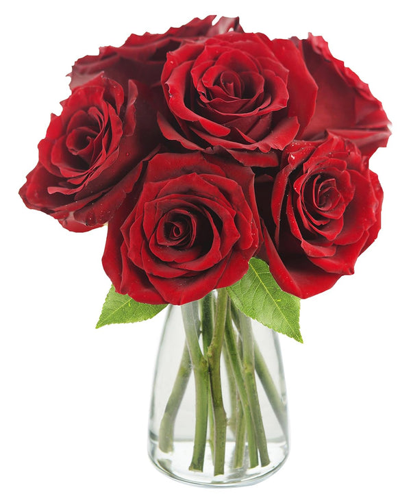 KaBloom - Romantic Red Roses: 6 Fresh Cut Red Roses (Long Stemmed)