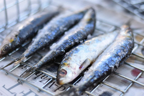 Porthos 3 125 Sardines in olive oil tins x g, / Portugal