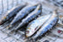 Porthos 3 125 Sardines in olive oil tins x g, / Portugal