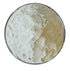 Whole Milk Powder by Medley Hills Farm, 1 lb Reusable Container - Great for Baking, Product of USA