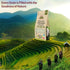 2 lbs (Pack 2) Himalayan chef White Basmati Rice