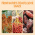 2 lb Oh! Nuts Jumbo Medjool Dates - Dried Dates - - Unpitted Medjool Dates - No Sugar Added - Dehydrated Fruit Snack