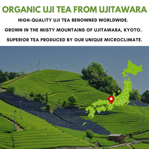 100% (100g 3.53oz) Nagomi Matcha Organic Superior Ceremonial Grade Matcha Green Tea Powder - Authentic Japanese First
