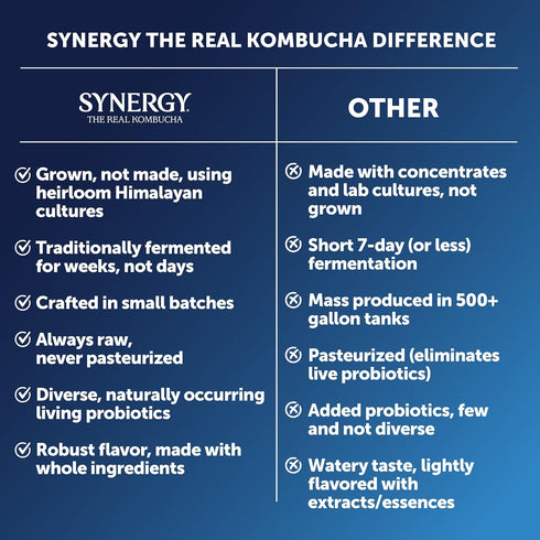 16 oz Immune SYNERGY The Real Kombucha - Gingerberry - fl Bottle - Raw Probiotic Drink for Gut Health and Support