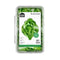 GOTHAM GREENS Butterhead Salad, 9 OZ