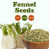 Food to Live Fennel Seeds, 4 Ounces – Whole, Raw, Non-Irradiated, Non-GMO, Perfect for Cooking and Baking