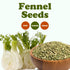 5 Food to Live Fennel Seeds, Pounds Whole, Raw, Non-Irradiated, Non-GMO, Kosher, Vegan, Bulk, Sweet Licorice Flavor