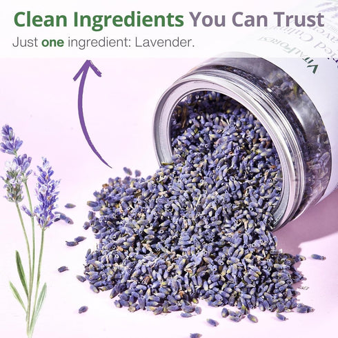 100% 3.53oz (100g), Dried Culinary Lavender Natural Food Grade Lavender Buds Herbs Tea, Edible Lavenders Flowers