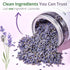 100% 3.53oz (100g), Dried Culinary Lavender Natural Food Grade Lavender Buds Herbs Tea, Edible Lavenders Flowers