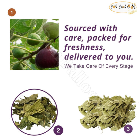 bonballoon (1 Pack 5.29 oz 150 Dry Fig Leaves Dried Natural Tea Pure Premium Leave Ficus Carica Fresh Herbal Herb Herbs