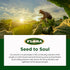 30+ 17.6 oz. Flora - Manuka Honey - MGO - Sustainable Honey from New Zealand - Non-GMO & Unpasteurized - Jar