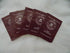 Cinnamon Spice Powder Packets - Veteran Owned, 100 Pack for Coffee, Tea, or Cider
