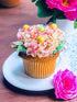 Sweet Evas Jimmies, CANDY LANE/EDIBLE METALLIC ACCENTS - Confectionery Accents, Sprinkles Mix, Decorating Sprinkles