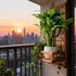 3 Set (2x6 1x8) Stalks Lucky Bamboo Plants Indoor Live - Multi-Height & for Good Luck & Prosperity - Easy Care