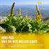 120 100% FreshDrinkUS, Premium Mullein Leaf Tea Bags For Lung, Natural & Pure from Mullein Leaves. Loose Leaf Mullein