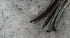 (10 Pack) Ecuadorian Vanilla Beans Whole Grade A Vanilla Pods for Homemade Vanilla Extract, Baking, Ice Cream