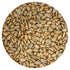 Triplenet Pricing 15lb Roasted & Salted Sunflower Seeds Shelled, Bulk Bag, No Shell Snack, ProteinRich, Healthy Snack