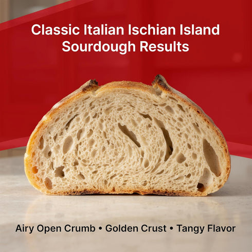 (Pack 1) Apron Maven Sourdough Starter Italian Ischian Island Style Sweeter Taste Soft Texture Breads and Pastries