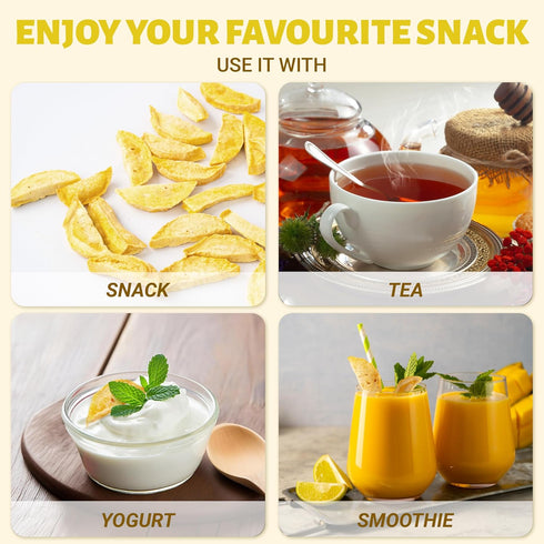 Pack 6, 2 Oz DARLAC FARMS Freeze Dried Mango Slices, No Sugar Added, Healthy Fruit Snacks for Kids, Adults & All Ages