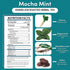 10 3x (Pack 4) Teeccino Dandelion Mocha Mint Tea - Tea Bags - Caffeine Free, Roasted Herbal Tea with Prebiotics, More
