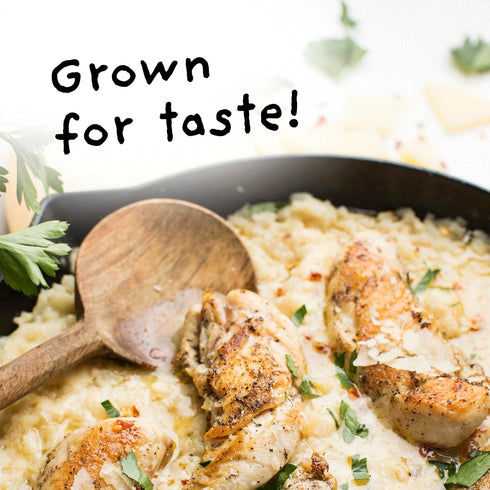 4Sisters 5lb - Enriched Extra Long White Rice - Sustainably Grown - Women Owned